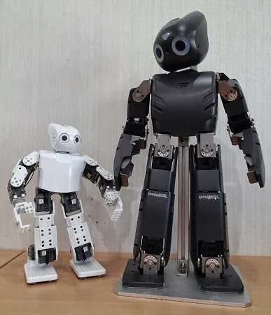 First Video of DARwin Mini | Bot Scene
